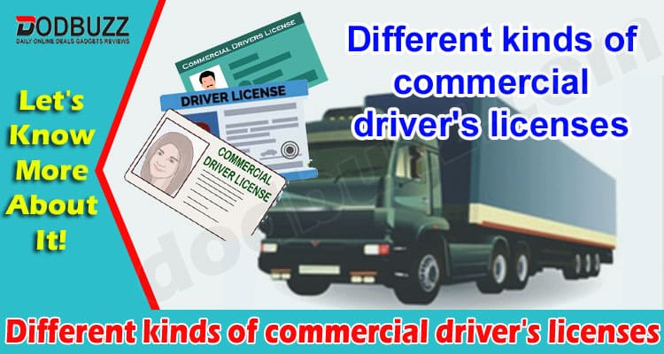 Different Kinds of Commercial Driver's Licenses