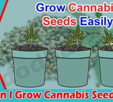 General Information Cannabis Seeds for Sale