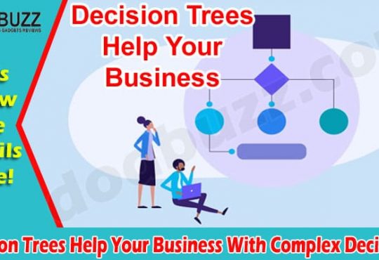 How Can Decision Trees Help Your Business With Complex Decisions