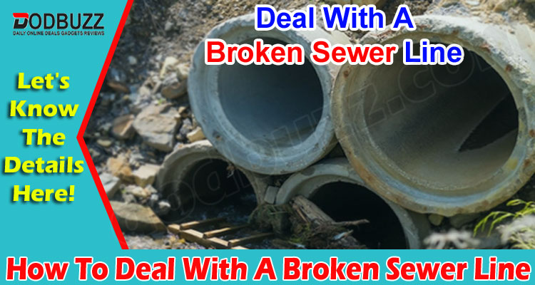 How To Deal With A Broken Sewer Line