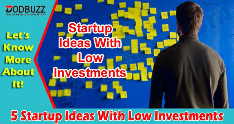 Top 5 Startup Ideas with Low Investments