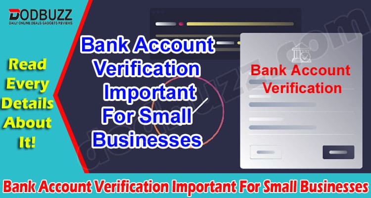 Why Is Bank Account Verification Important For Small Businesses