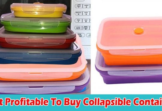 Complete Guide to information Is It Profitable To Buy Collapsible Containers