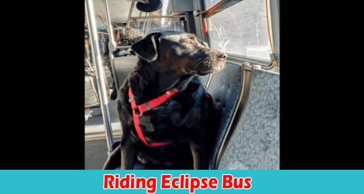 Latest News Riding Eclipse Bus