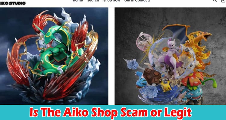 The Aiko Shop Online website Reviews