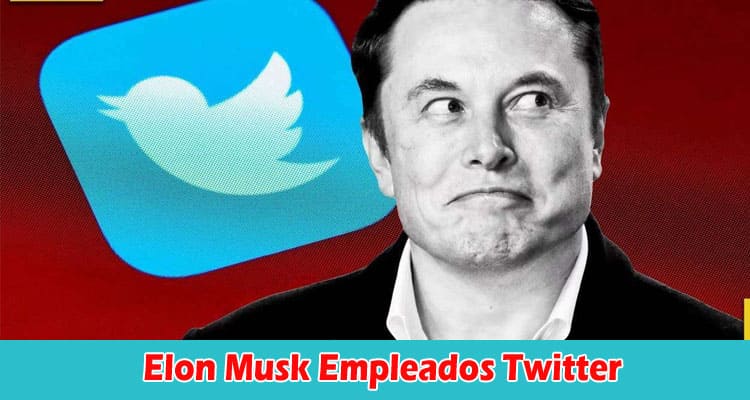 Latest News Elon Musk Empleados Twitter