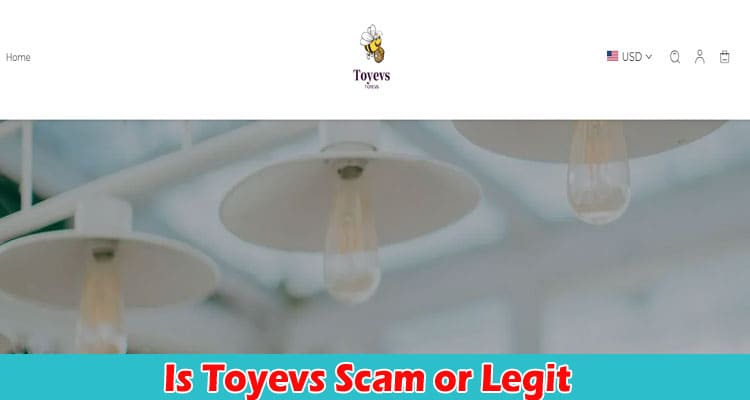 Toyevs Online Website Reviews