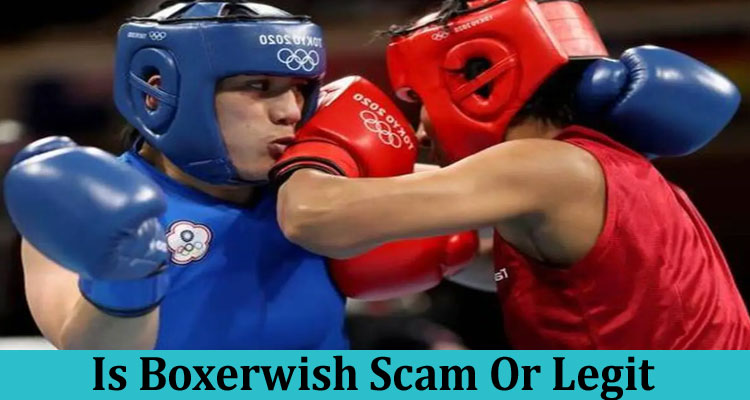 online-website-reviews Is Boxerwish Scam Or Legit